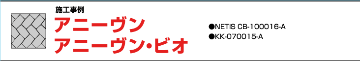 アニーヴン