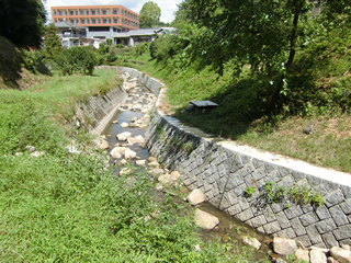 大佐野川(福岡県)