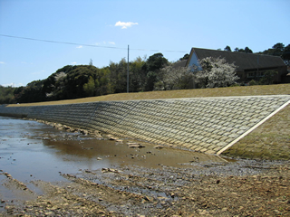 竜尾川(長崎県)