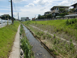 藻器堀川(熊本県)