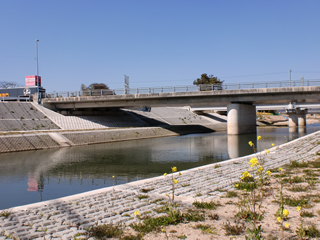 田手川(佐賀県)