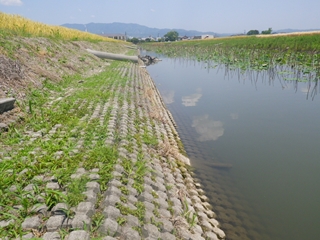 農業用水路(佐賀県)