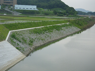 山田川（福岡県）