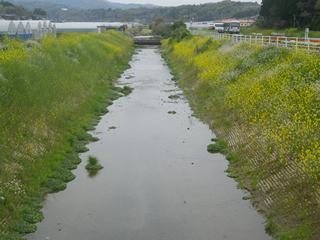 郡浦川（熊本県）