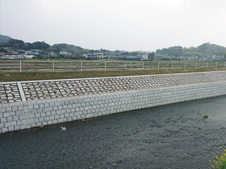 鹿児島県(花渡川)