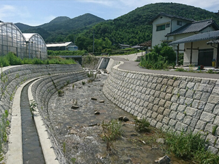 福岡県(住野川)