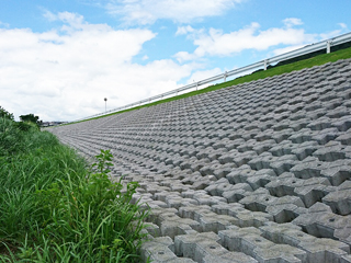 熊本県(井芹川)