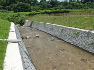 佐賀県(三本松川)