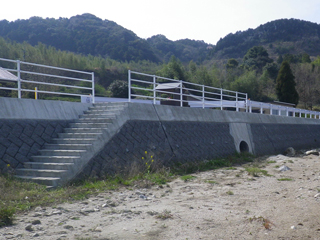 佐賀県(田手川)