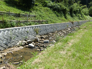 福岡県(大佐野川)