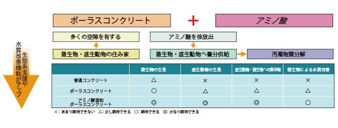 水藻の特性